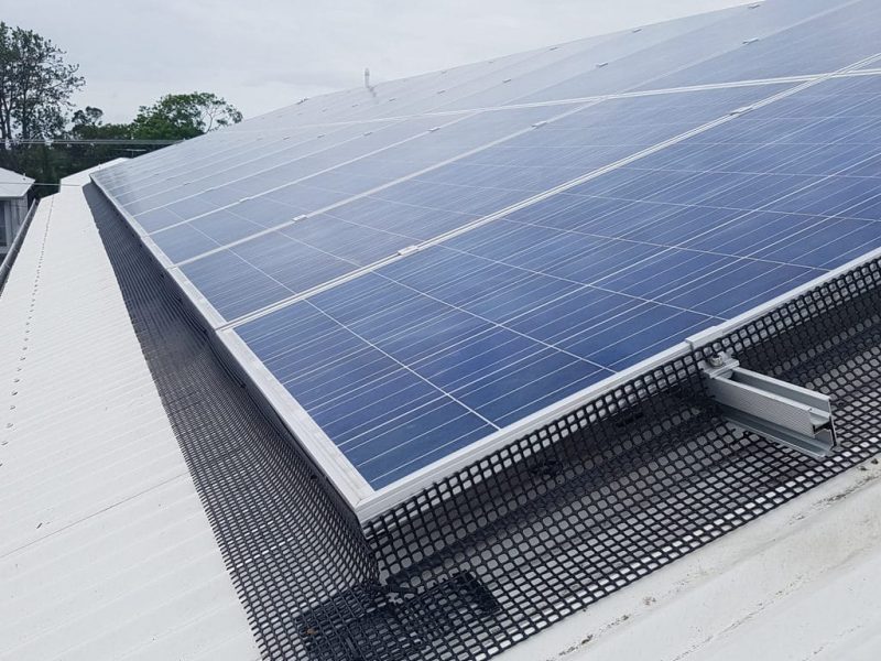 Solar Panel Bird Proofing